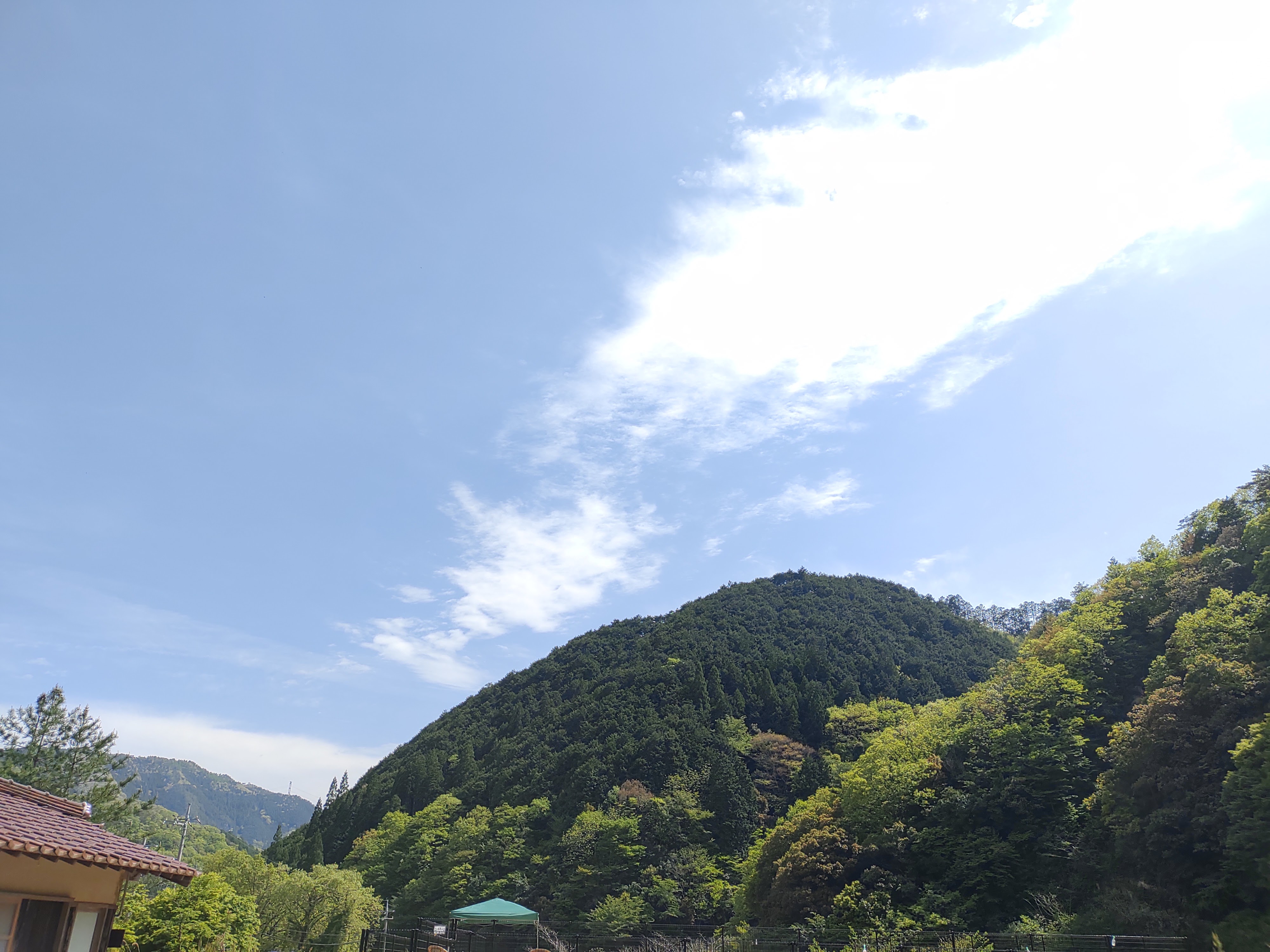 にこのもり